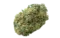 nug