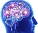 BigBrain