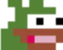 ppGA ppGA