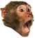 MonkeyLul