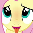 FluttershyGASM FluttershyGASM
