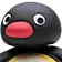 NOOT