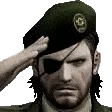 bosssalute