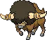 bouffalant bouffalant