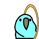 parrotright