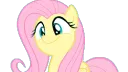 flutterbob