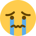 :weep: Discord Emote