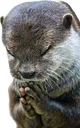 otteringforyoursoul