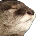 feelsotterlygood