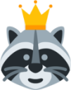 royalracoon Discord emoji