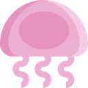 jellyfish jellyfish