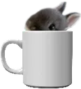 wewbunmugpeek