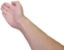 boi2