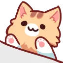 nkoBongo