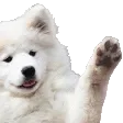 hey2