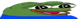 Pepe_wtf Discord emoji