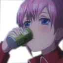 IchikaSip