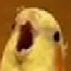 birb birb
