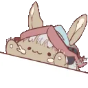bongoNanachi