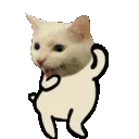 catdance