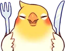 birdhungry
