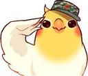 birdsalute