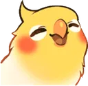 birdsmile