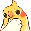 birdthink birdthink