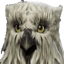 evilbirb