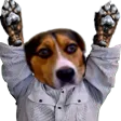 hobbHype hobbHype