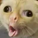 derp
