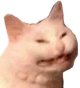 :yeet: