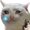 sadcatgun
