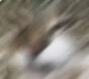 NEENEEBLUR NEENEEBLUR