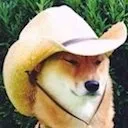 tarnation tarnation