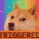 DogeTrigger
