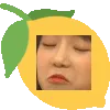 idktbhprollyalemonnod