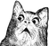 catwtf