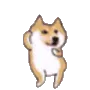 doge