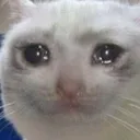 NotLikeThis