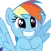 rdsquee rdsquee