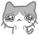 cat_sad cat_sad