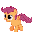 scootaexcited