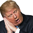 :sleeptrump: Discord Emote