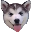 loobyWolf