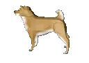 Doge3DGif