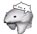 bongobear