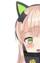 TMPeek