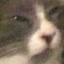 :tf: Discord Emote