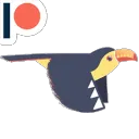toucan
